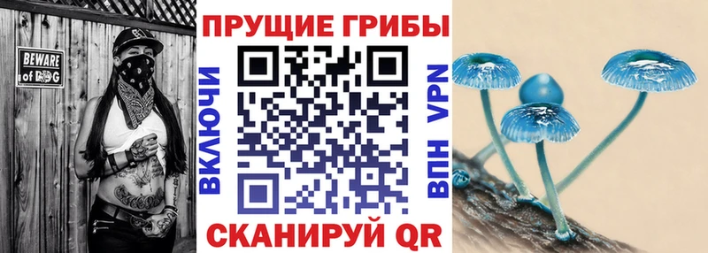 Псилоцибиновые грибы Magic Shrooms  Купить  Навашино 